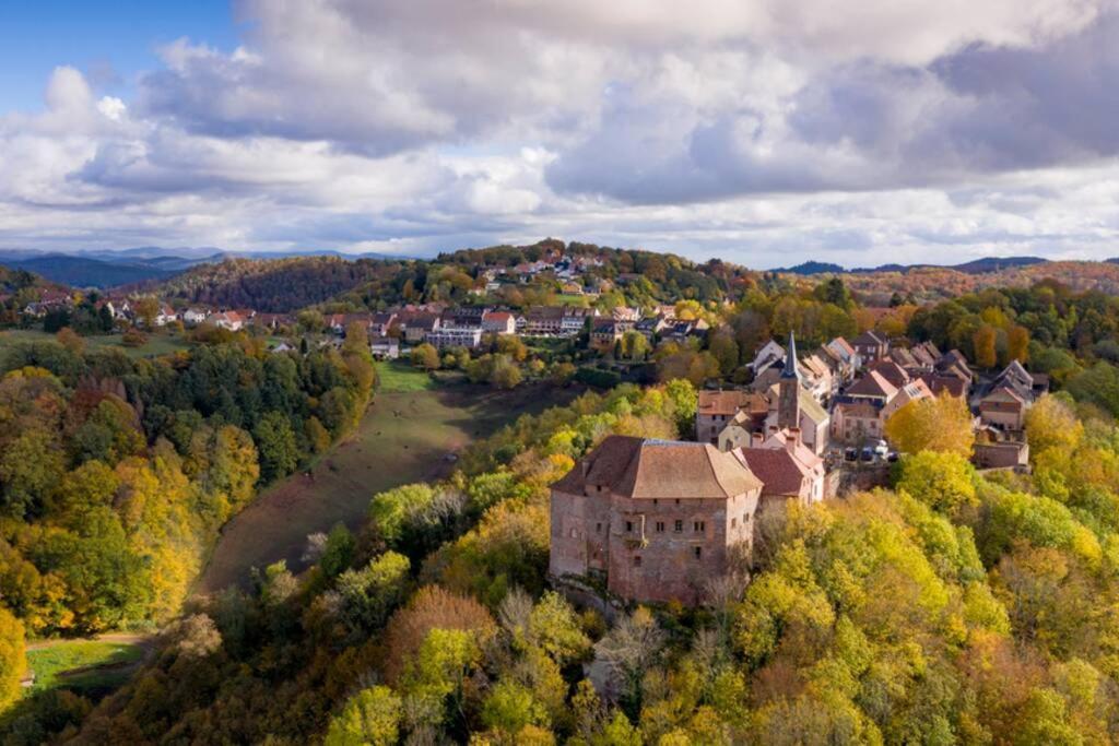 Maison Privilege Nature A La Petite Pierre Buitenkant foto